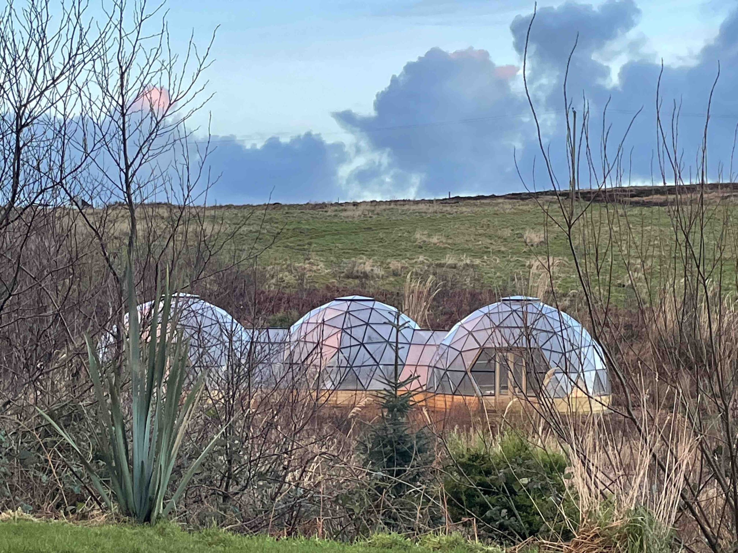 Geodesic dome greenhouse